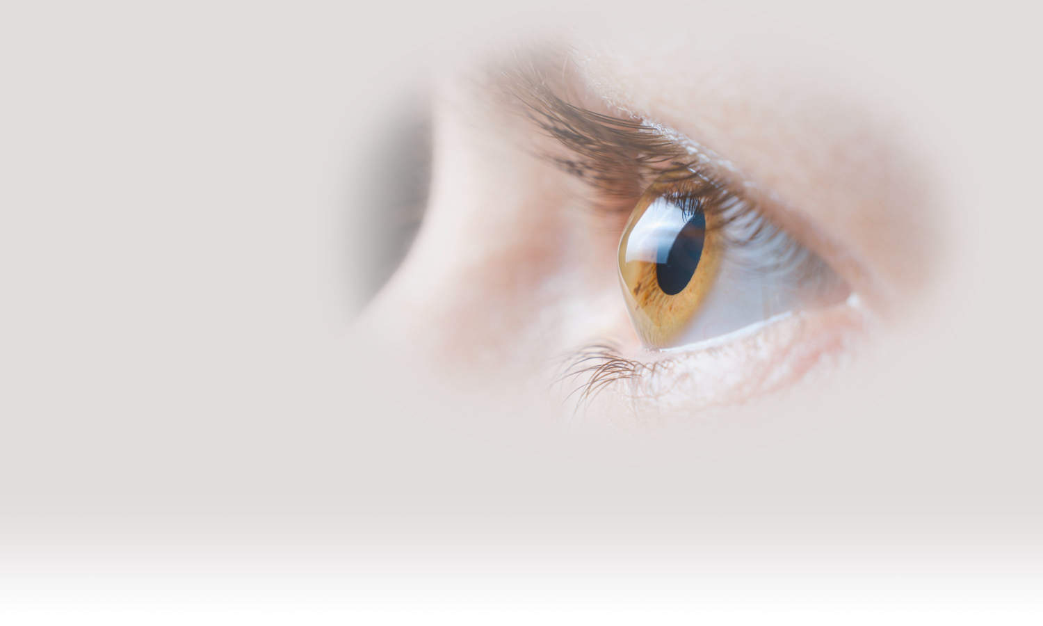 Zabieg sieciowania rogówki oka – Cross-Linking (CXL)